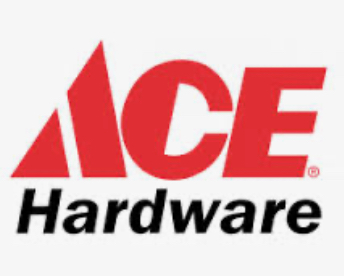 Bloomingdale ACE logo